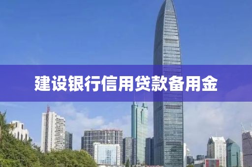 建设银行信用贷款备用金