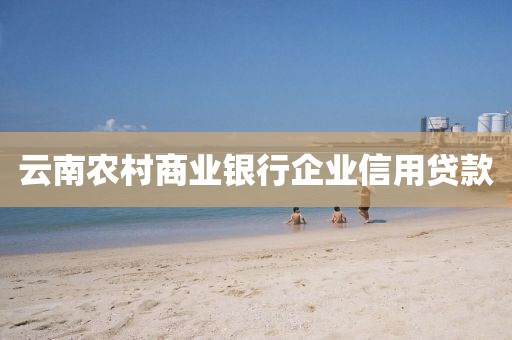 云南农村商业银行企业信用贷款