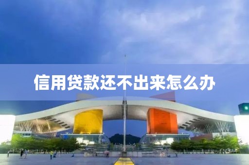 信用贷款还不出来怎么办