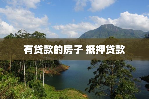 有贷款的房子 抵押贷款