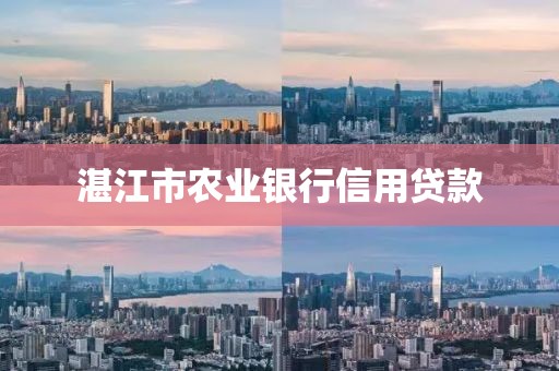 湛江市农业银行信用贷款