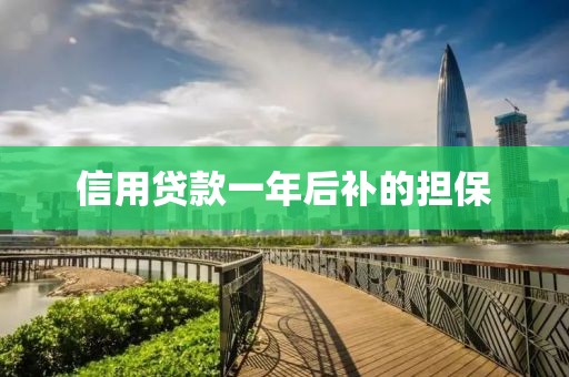 信用贷款一年后补的担保