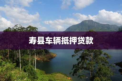 寿县车辆抵押贷款