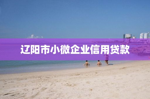 辽阳市小微企业信用贷款