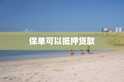 保单可以抵押贷款