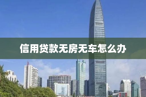信用贷款无房无车怎么办