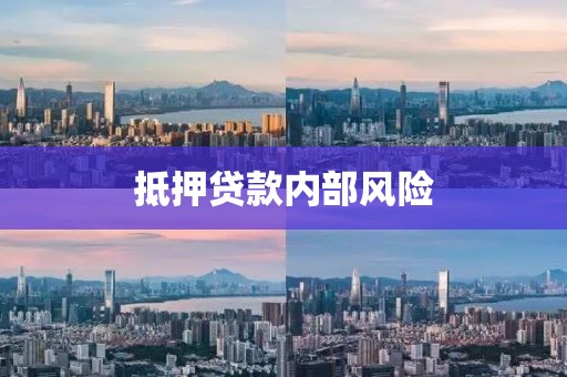 抵押贷款内部风险