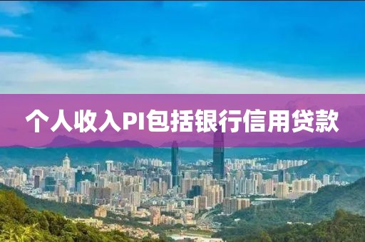 个人收入PI包括银行信用贷款