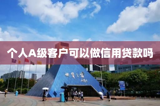 个人A级客户可以做信用贷款吗