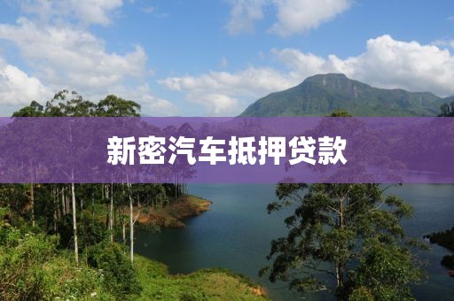 新密汽车抵押贷款