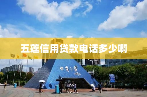 五莲信用贷款电话多少啊