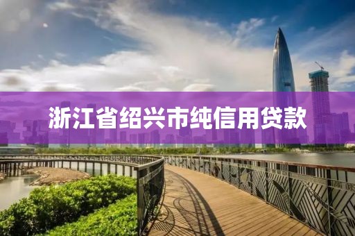 浙江省绍兴市纯信用贷款