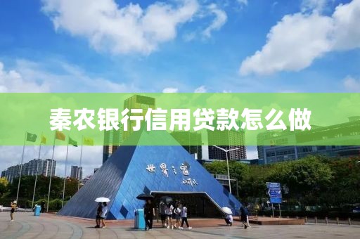 秦农银行信用贷款怎么做
