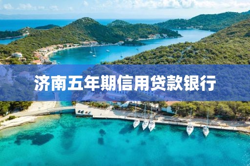 济南五年期信用贷款银行