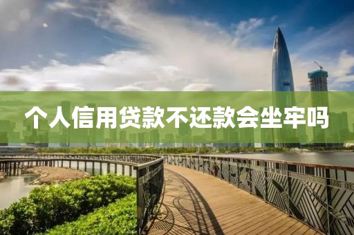 个人信用贷款不还款会坐牢吗