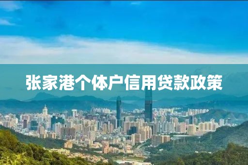 张家港个体户信用贷款政策