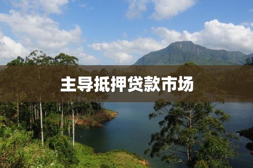 主导抵押贷款市场