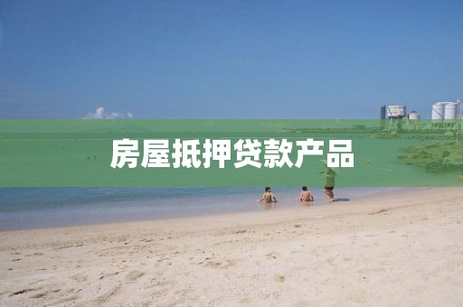房屋抵押贷款产品