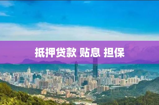 抵押贷款 贴息 担保