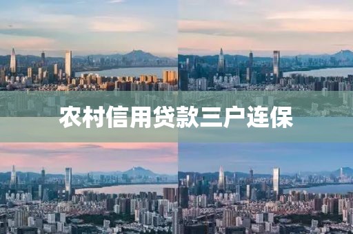 农村信用贷款三户连保