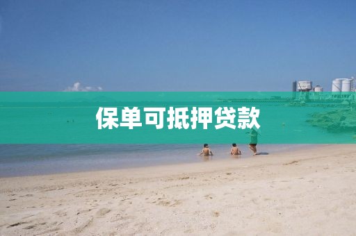 保单可抵押贷款