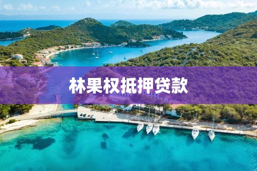 林果权抵押贷款
