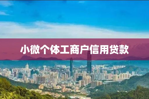 小微个体工商户信用贷款