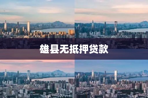雄县无抵押贷款