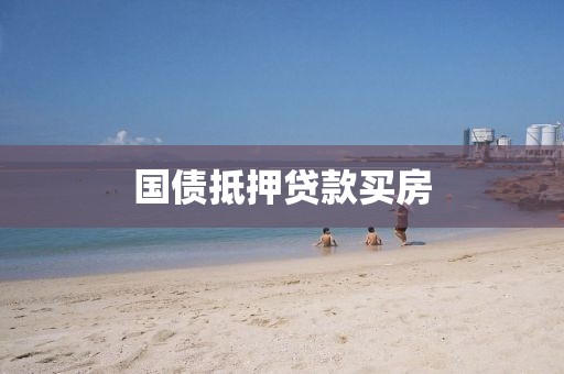 国债抵押贷款买房