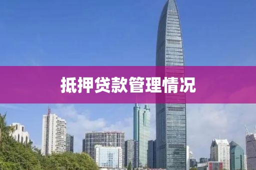 抵押贷款管理情况