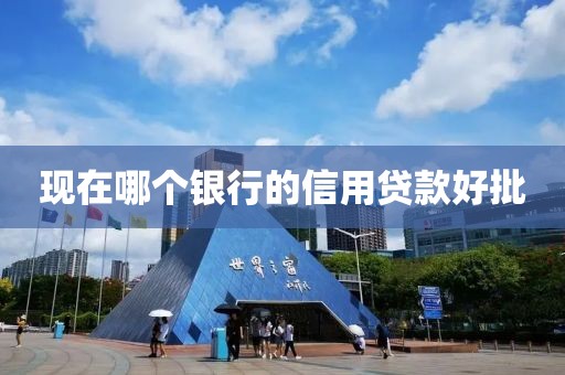 现在哪个银行的信用贷款好批