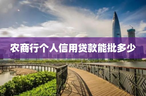 农商行个人信用贷款能批多少