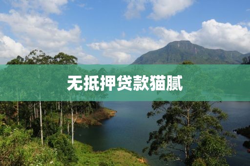 无抵押贷款猫腻