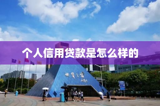 个人信用贷款是怎么样的