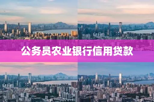 公务员农业银行信用贷款