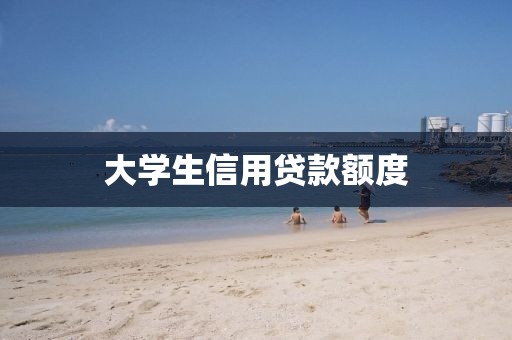 大学生信用贷款额度
