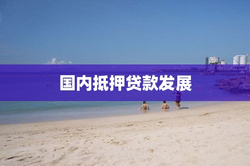 国内抵押贷款发展