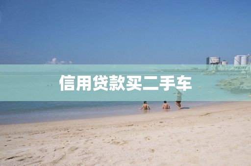 信用贷款买二手车