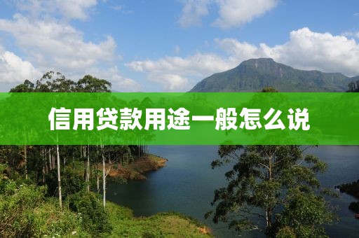 信用贷款用途一般怎么说