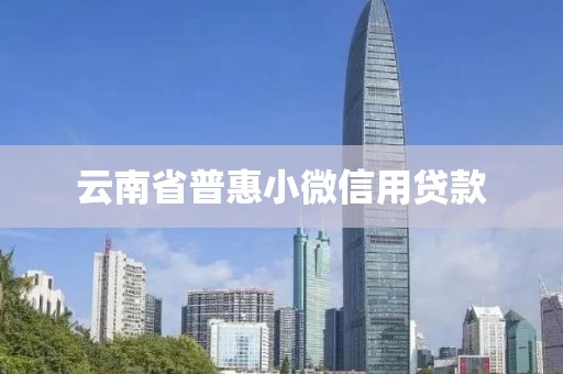 云南省普惠小微信用贷款