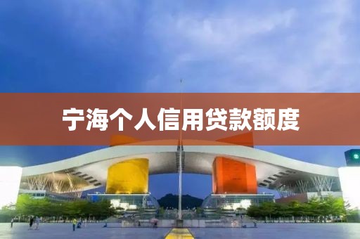 宁海个人信用贷款额度