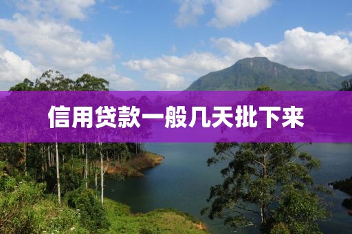 信用贷款一般几天批下来