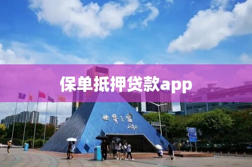 保单抵押贷款app