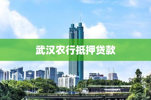武汉农行抵押贷款