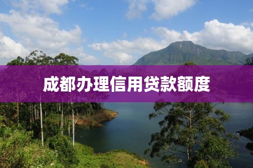成都办理信用贷款额度