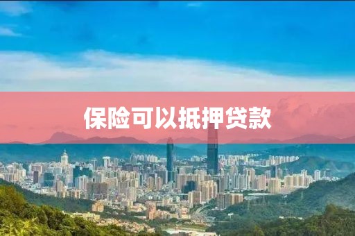 保险可以抵押贷款