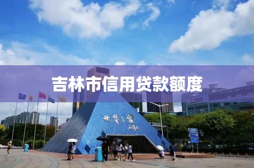 吉林市信用贷款额度