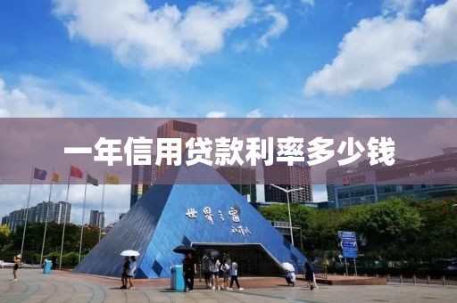 一年信用贷款利率多少钱
