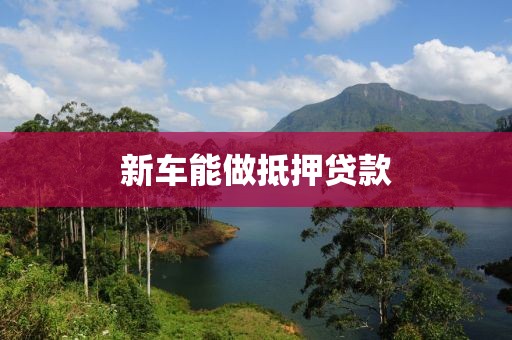 新车能做抵押贷款