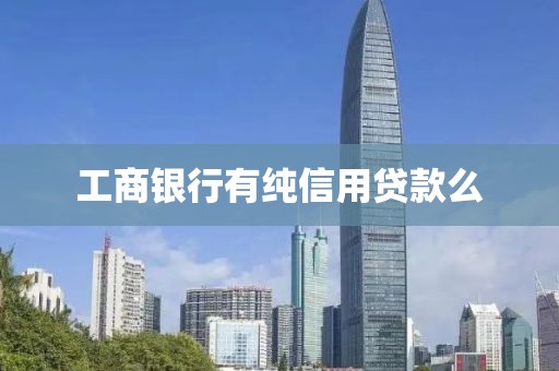 工商银行有纯信用贷款么